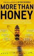 Baldan Acı More Than Honey – More Than Honey Türkçe Dublaj 720P