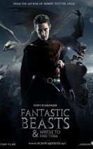 Fantastik Canavarlar Nelerdir Nerede Bulunurlar – Fantastic Beasts and Where to Find Them 720P izle