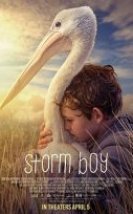 Fırtına Çocuk Storm Boy 2019 Türkçe Altyazı 720P