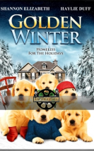 Golden Winter Kahraman Dostlarım – Golden Winter Türkçe Dublaj Full izle – Kahraman Dostlarım izle 720P izle