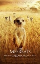 Mirket Ailesi The Meerkats – The Meerkats 720P izle