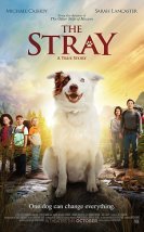 The Stray – The Stray 720P izle