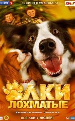 Evde Köpek Başına Paws Bones & Rock’n’roll 720P Türkçe Dublaj izle