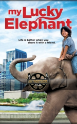 Şanslı Fil – My Lucky Elephant 720P izle