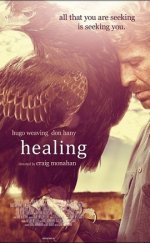 Şifacı Healing 2014 Türkçe Dublaj 720P