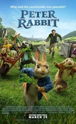 Tavşan Peter Peter Rabbit 720P Türkçe Dublaj izle