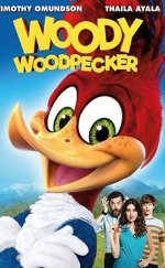 Woody Woodpecker Ağaçkakan Woody 720P Türkçe Altyazı izle