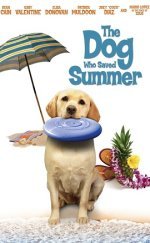 Yaz Köpeği The Dog Who Saved Summer 2015 Türkçe Dublaj 720P