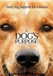 Can Dostum A Dog’s Purpose Türkçe Dublaj 2017