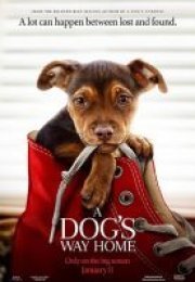 Sadık Dostum A Dog’s Way Home – A Dog\’s Way Home 720P izle