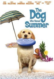 Yaz Köpeği The Dog Who Saved Summer 2015 Türkçe Dublaj 720P